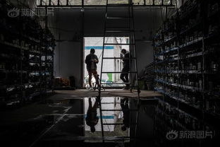 An overview of top-recommended Bitcoin mining rigs, showcasing their robust designs and efficiency features