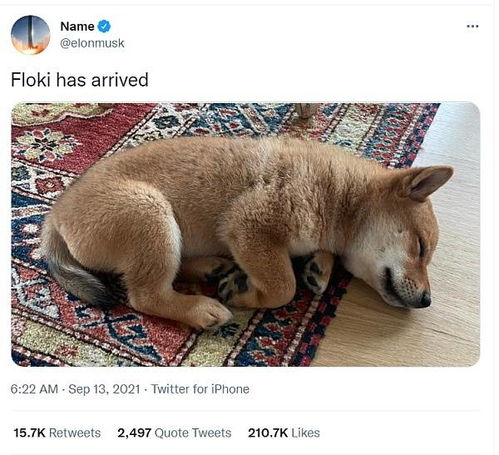 A fun illustration of Dogecoin mining in action, highlighting community-driven wealth opportunities